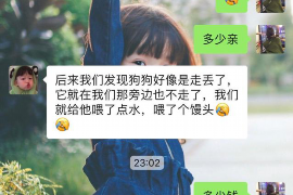 安顺融资清欠服务